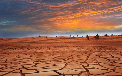 La sequía, el golpe de gracia sobre una economía tambaleante