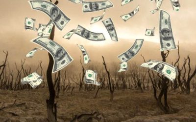 El Banco Mundial pide reasignar subsidios para combatir el cambio climático