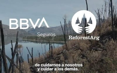 Alianza sustentable entre BBVA Seguros y ReforestARG