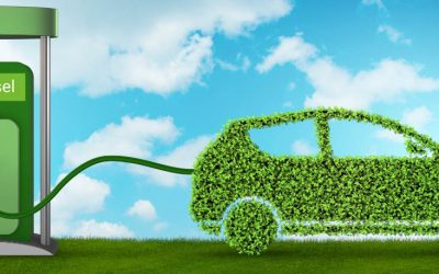 La industria del biodiesel se expande en el mundo y retrocede en Argentina
