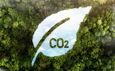 Solo el 18% de las empresas se encamina a lograr las emisiones cero en 2050