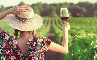 Caminos del vino: lanzan la mesa de enoturismo sustentable