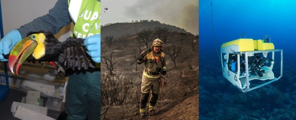 Nuevos reconocimientos de los XXI Premios Biodiversidad de la Fundación BBVA