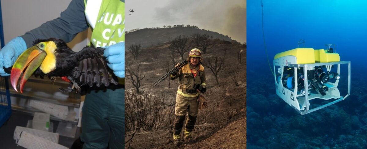 Nuevos reconocimientos de los XXI Premios Biodiversidad de la Fundación BBVA